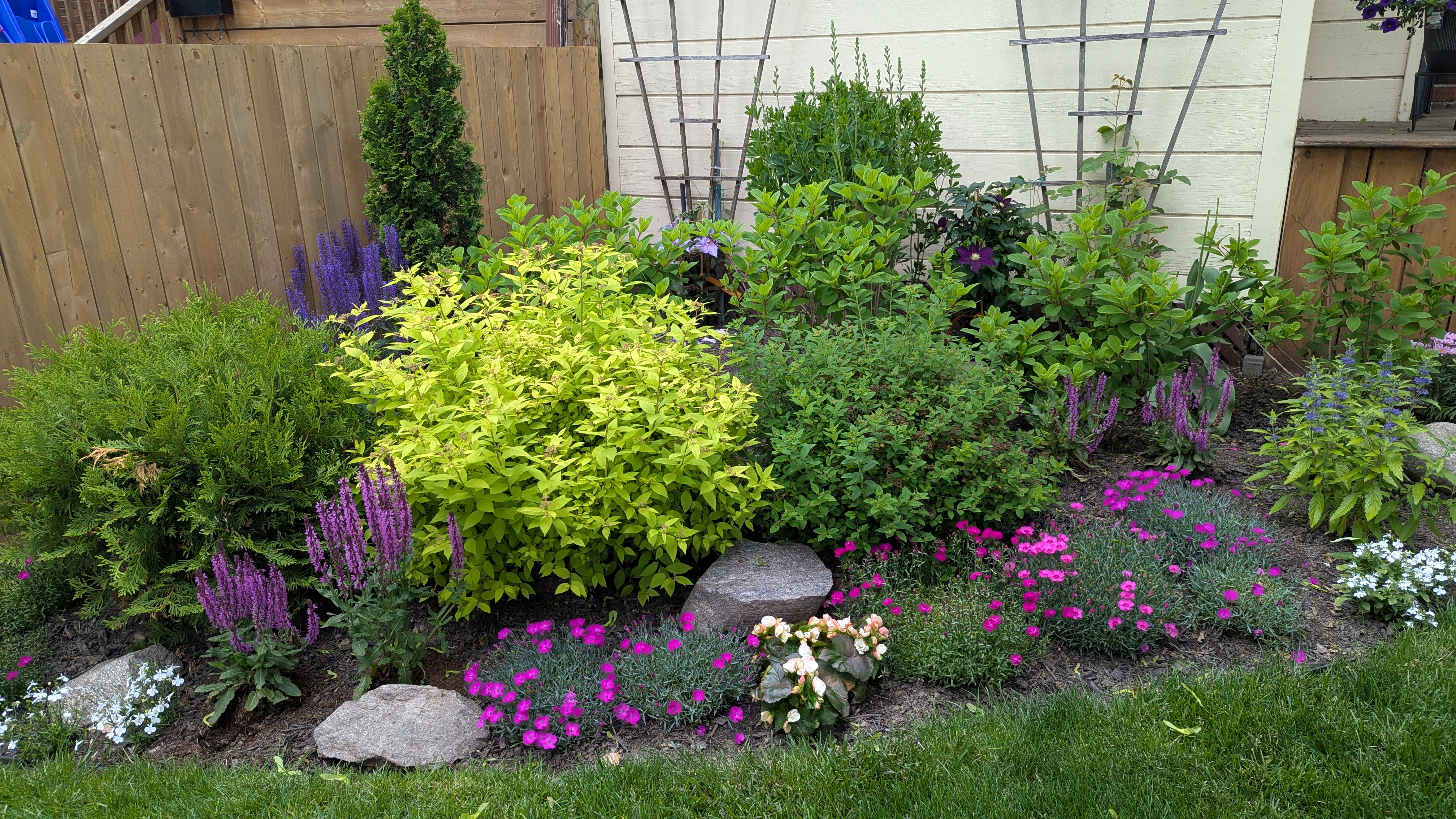 Before: sparse front garden border