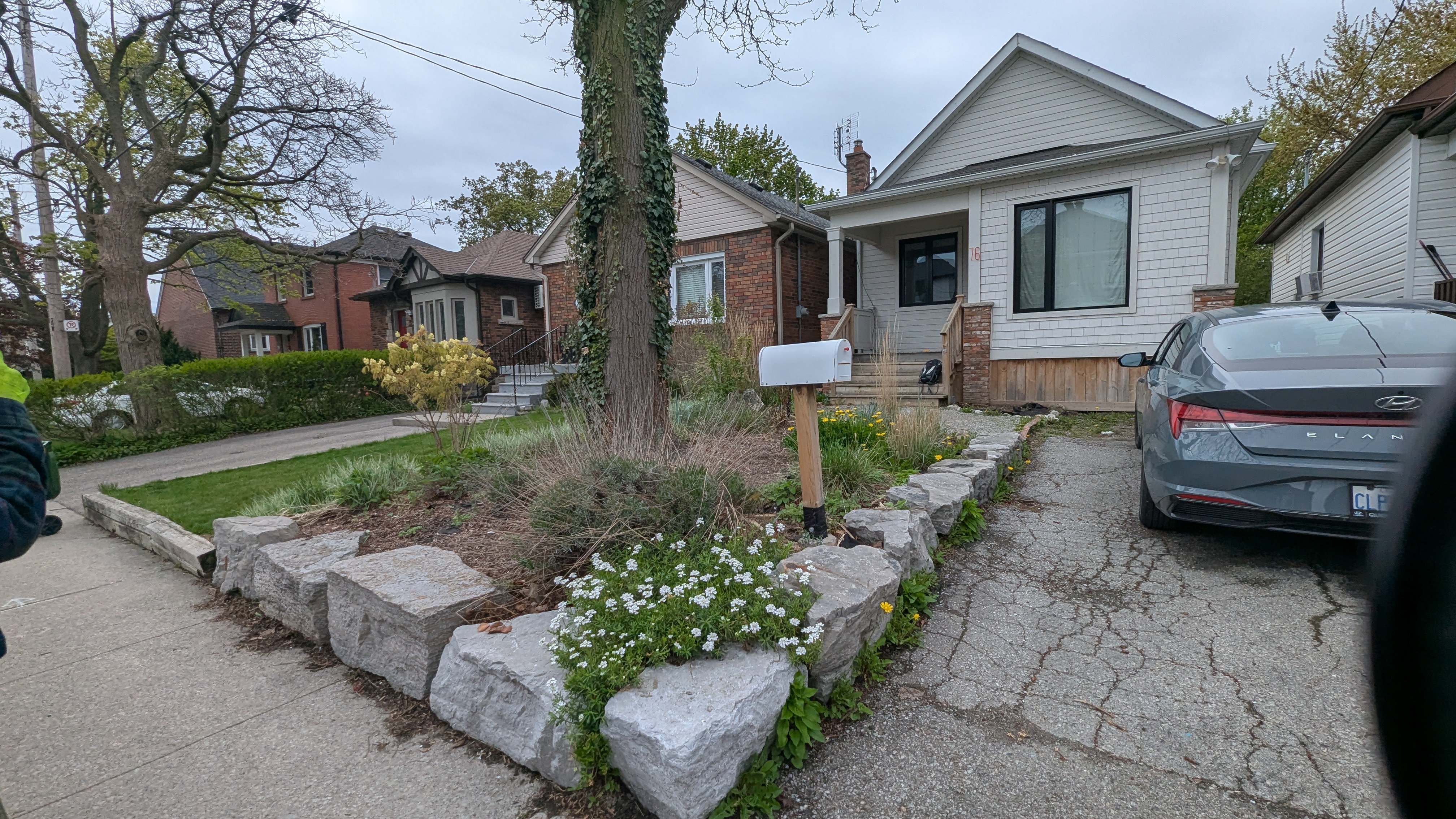 Before: sparse stone-edged bed